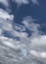 IMG_3847.jpg