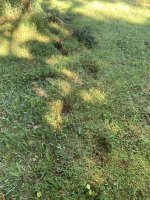 IMG_9628.jpg
