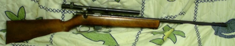 mossburg 42a22sl lr.jpg