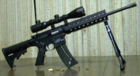 M & P 15-22 with bipod and 3 x 12 x 50E scope   5-4-12 resized.jpg