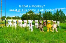 4FFAC8C8-A26E-4DFF-ADBD-B24B42AE95F3.jpg