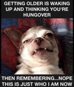 Hung over.jpg