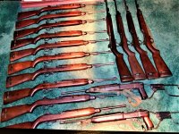 carbines.jpg