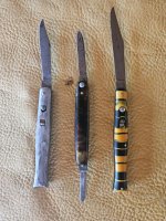 20240708_080535.jpg