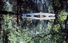 DawnBridge.jpg