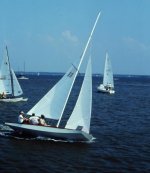 Saliboats22.jpg