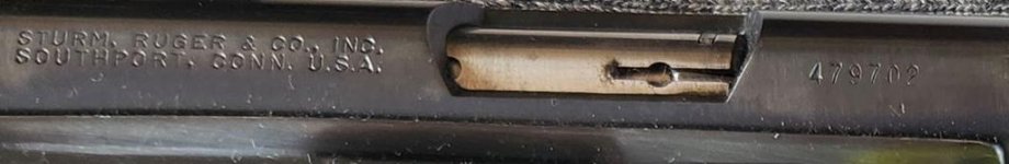 Ruger 22 semi.jpg