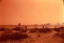 BeachSunset2.jpg