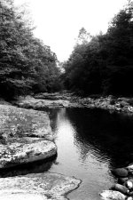 Creek4.jpg