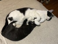 IMG_0328.jpg