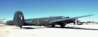 IMG_2313.jpg