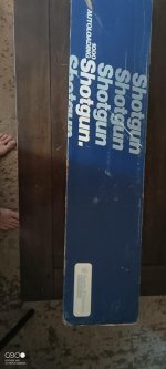 IMG_20240718_074444_666.jpg