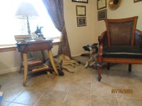 IMG_2387.jpg
