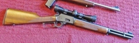 Marlin carbines.JPG