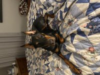 C5D75AE8-731B-4810-A0B9-F3348D274CE1.jpg