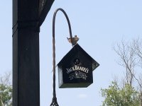 IMG_4859.jpg