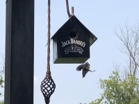 IMG_4869.jpg