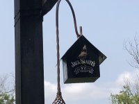 IMG_4880.jpg