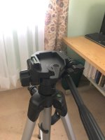 shooting stick 4.jpg