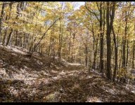 IMG_8911.jpeg