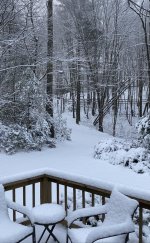 IMG_5003.jpg