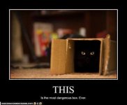 Dangerous box.jpg
