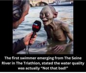 SeineWater.jpg