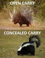 Concealed carryOpen Carry.jpg