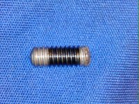 Mainspring Tension Screw.jpg