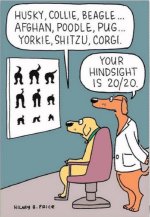 Dog eye test.jpg