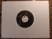 20240806_164032.jpg