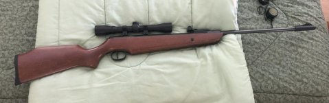 Ruger air 1.jpg