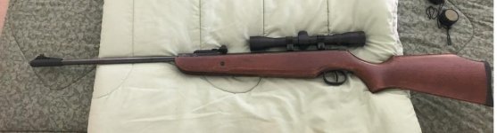 Ruger air 3.jpg