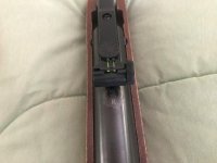 Ruger air 9.jpg