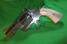 Python 1 (2).jpg