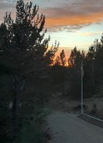 Rise 'n' shine.jpg