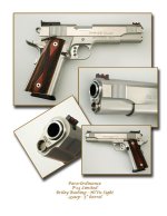 Para P14Lcomp.jpg