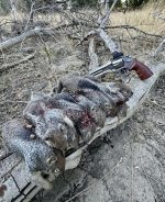 IMG_7320.jpg