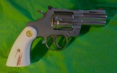 python plump 8-26 (2).jpg