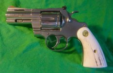 python plump 8-26 (3).jpg