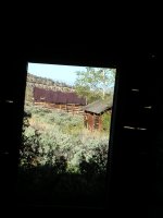 Peering through.jpg