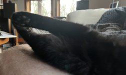 Evening yoga.jpg
