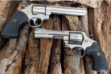 SW_629 pair_r.jpg