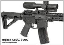 Vcog.jpg