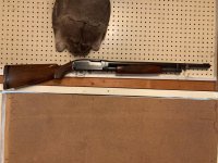 Winchester M-12 1956.jpg