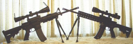 m & P 15 and 15-22 with 1 inch risers rs.JPG