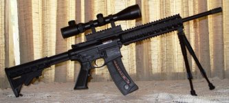 M & P 15-22 with 3x12 x50e ncstar scope on 1 in riser rs.JPG