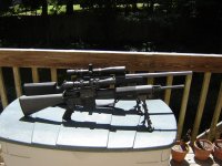 223 and 308 sniper 001.jpg