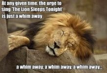 A whim away.jpg