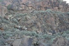 IMG_0079.jpg
